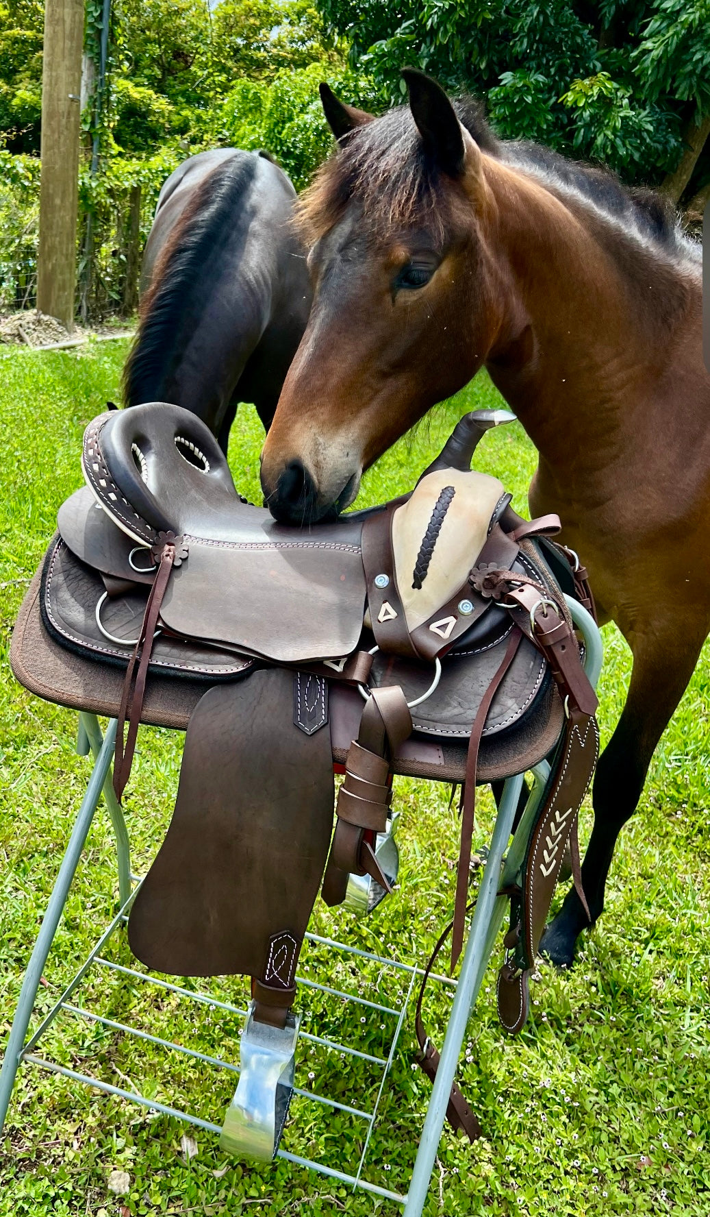 Saddle Chaparal-Saddlebags